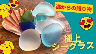 豊橋、田原の太平洋で、極上のシーグラスを拾いました😃ビーチコーミングで、伝説の悪魔の実をゲット‼️何の実なのか⁉️