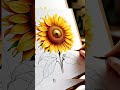 #Shorts#SunflowerFlower#Drawing#viral#Flower#veryeasyart#@BestArt16659#Shortfeed