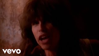 Aerosmith - Cryin' (Official Music Video)