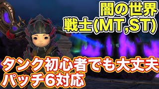 【FF14暁月】闇の世界に戦士(MT,ST対応)で挑戦【タンク初心者入門 パッチ6対応2023年版】