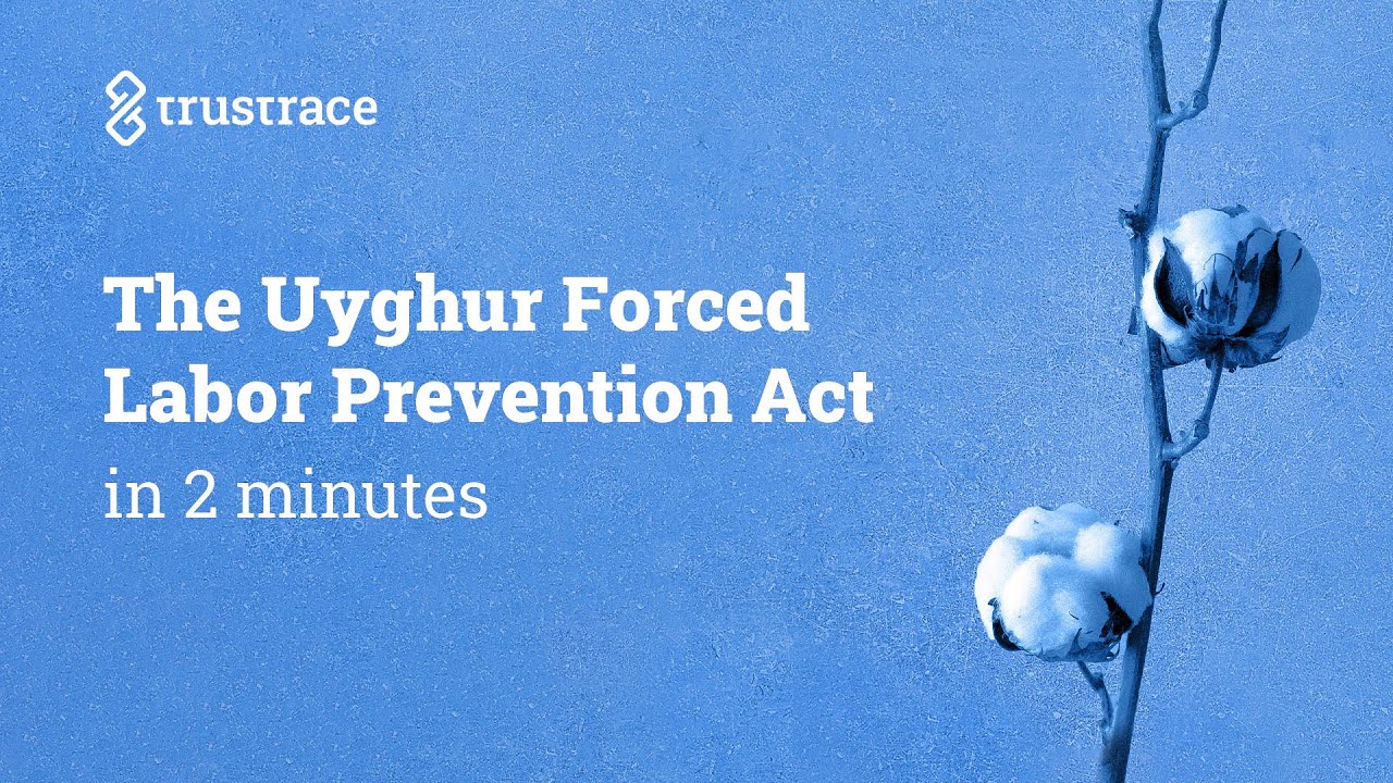 The Uyghur Forced Labor Prevention Act - YouTube