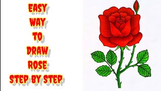 Easy Way to Draw Rose Step by Step