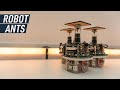 Watch a Swarm of Robots Lay Artificial Pheromones Like Ants | Mashable