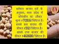 सोयाबीन भाव 03 फरवरी 2025 soya plant bhav soya rate today soyabean ka bhav सोयाबीन