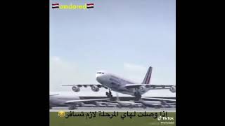 من البيضة مهيوب الحوب