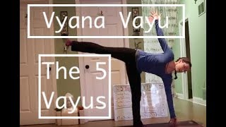 The 5 Vayus: #5 VYANA VAYU Practice- LauraGyoga