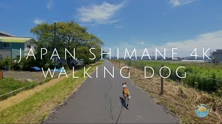 【4k】Japan Shimane Walking Dog Beautiful  Nature Relaxation 日本・旅・田舎・癒し・島根県・犬と散歩