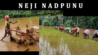 Neji Nadpunu | Tulunadu Benni | Paddy Cultivation | DJ Mervin Show