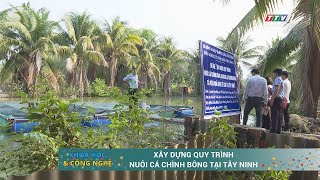 Xây dựng quy trình nuôi cá chình bông tại Tây Ninh | KHOA HỌC & CÔNG NGHỆ | TayNinhTV