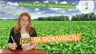 Якщо основна причина низької ефективності - невчасне проведення робіт? Який вихід?