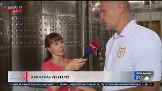 Napindító – A mustgáz veszélyei (2023-09-04) - HÍR TV