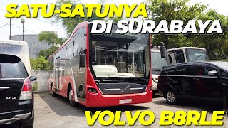 SPESIES LANGKA DI SURABAYA !! | REVIEW TRANS SEMANGGI VOLVO B8RLE HANYA 1 UNIT DI SURABAYA