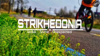 Strikhedonia /  korian nothing place.  Every motion is 4K and HD.