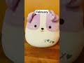 your month your squishmallow pt.1