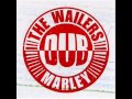 The Wailers (with Lloyd Willis) - Natty Dread Instrumental