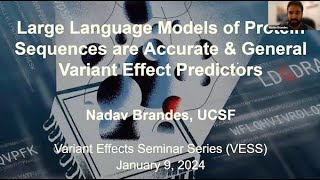 Dr. Nadav Brandes - Variant Effect Seminar Series - January 2024