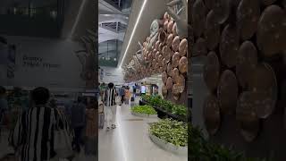 Delhi Airport 🛫😍 igi #travel #vlogger #minivlog #vlog #shortvideo #trending #shorts #viralvideo