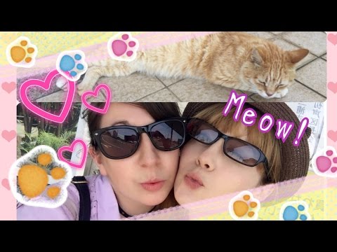 HOW TO GET TO CAT ISLAND from TOKYO - A CAT DAY at Jogashima HOW TO GET TO CAT ISLAND from TOKYO - A CAT DAY at Jogashima