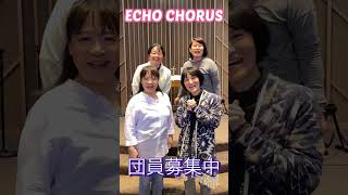 エコーコーラス・メンバー募集中！#shorts #echochorus