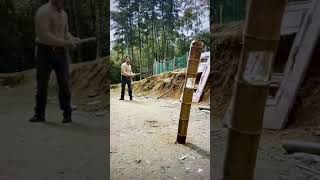 Amazing stick thrower