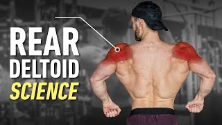How To Build Boulder Rear Delts: Optimal Training Explained