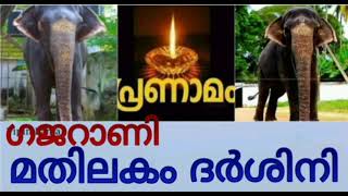 മതിലകം ദർശിനി ചെരിഞ്ഞു | Mathilakam Dharshini Cherinju | Royal Elephant മതിലകം ദർശിനി