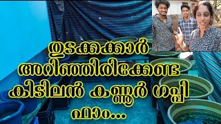 തുടക്കകാർക്ക് വേണ്ടി ഒരു കിടിലൻ ഗപ്പി ഫാം കാണാം..😍😍