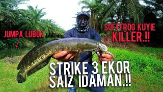 Casting Haruan | Gasak Kaw Kaw Menggunakan Softfrog Kuyie | Daiwa Sea LTD 1003 | Vlog219