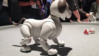 Sony robot puppy AIBO at CES 2019