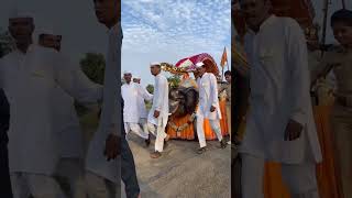 श्रीची पालखी सोहला गजानन महाराज शेगाव पायदल आषाढी वारी #shegaon #pandharpur #youtubeshorts