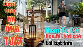 Lồng Hoạ Mi trống bác Tuất ✅ Choè Than to đẹp