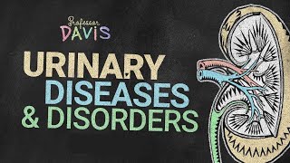 Urinary Diseases & Disorders