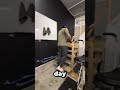 We were able to make some quick weight shifts onto the leg! | Rehab