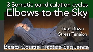 No-Frills Elbows to the Sky Practice | Somatics to Relax | Come out of stress  2m:53s