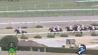 2008年12月27日 阪神4R 障害未勝利 サンダーホーラー