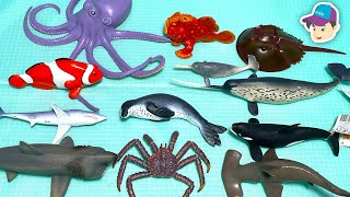 100 Sea Animals in a box - Shark Whale Beluga Manta Ray Orca Turtle Lobster Narwhal Manatee Stingray