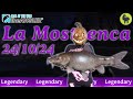 La Mostrenca the Spain Legendary Fish this Week 24/10/24 | Call of the Wild: The Angler