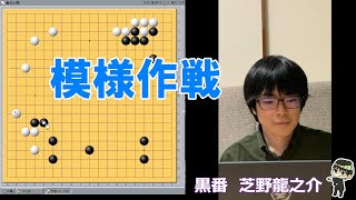 模様作戦vs打ち込み作戦 【19路 囲碁】