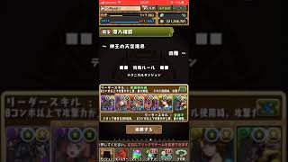 【パズドラ】神王の天空境界4F  力