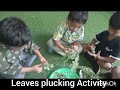 Green Day 2024 - Activity: Leaf Plucking