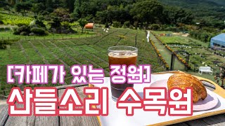 [카페가 있는 정원] 산들소리 수목원