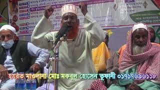 হযরত মাওলানা মোঃ মকবুল  হোসেন তুফানী 2| By Shahin Video Tv