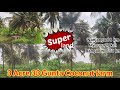 #Soldout 4 acre coconut farm land for sale near nanjangud 8 km  Mysuru 27 km super location🌴🌴 well