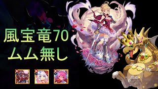 ムム無し宝竜の挑戦・風Lv70【ドラガリ】