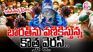 HMPV Updates : భారత్ ను వణికిస్తున్న HMPV కొత్త వైరస్ | HMPV Virus Outbreak in India@SumanTVNalgonda