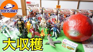 おもちゃのリサイクルショップ大量買い 購入品紹介 トイプラネット ソフビ ウルトラマン sofubi toys japan ultraman