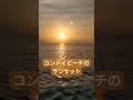 ✨🏝️竹富島の休日🌴✨ 沖縄 石垣島 コンドイビーチ