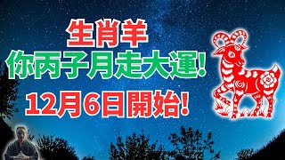 生肖羊注意！丙子月12月6日~1月4日，你有大轉折，霉運散盡，要走大運！別錯過！ #2024年生肖羊運勢 #2024年生肖羊運程 #2024年屬羊運勢 #屬羊運程