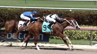 Gulfstream Park Replay Show | July 14, 2016