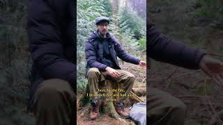 wild camping in the heart of the forest